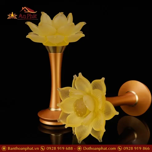 den tho hoa sen luu ly canh quan am chan dong dtd135000002
