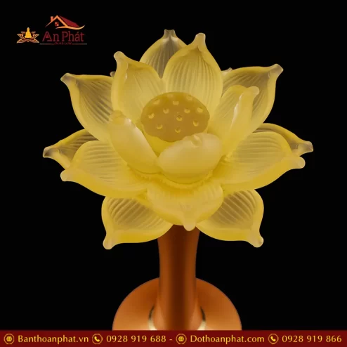 den tho hoa sen luu ly canh quan am chan dong dtd135000003