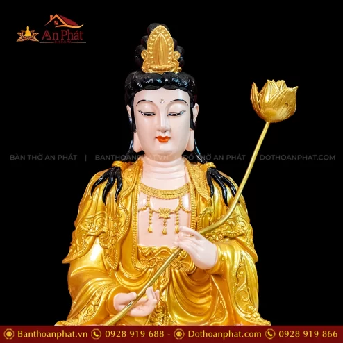 Tuong Dai The Chi Ngoi Composite De Sen Hong mau Nhu vang T2305 5