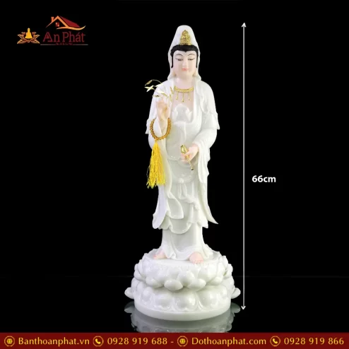tuong quan am bo tat bot da cao cap dang dung t257200012